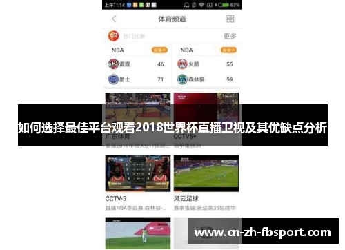 如何选择最佳平台观看2018世界杯直播卫视及其优缺点分析