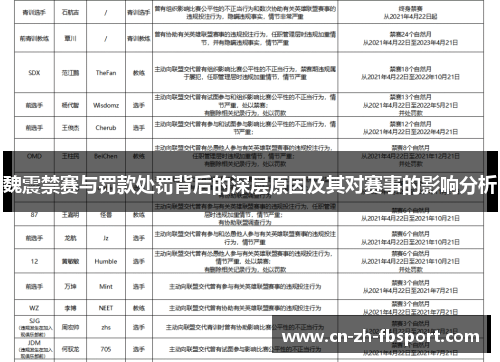 魏震禁赛与罚款处罚背后的深层原因及其对赛事的影响分析