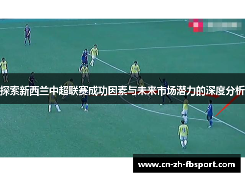 探索新西兰中超联赛成功因素与未来市场潜力的深度分析