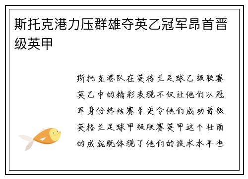 斯托克港力压群雄夺英乙冠军昂首晋级英甲